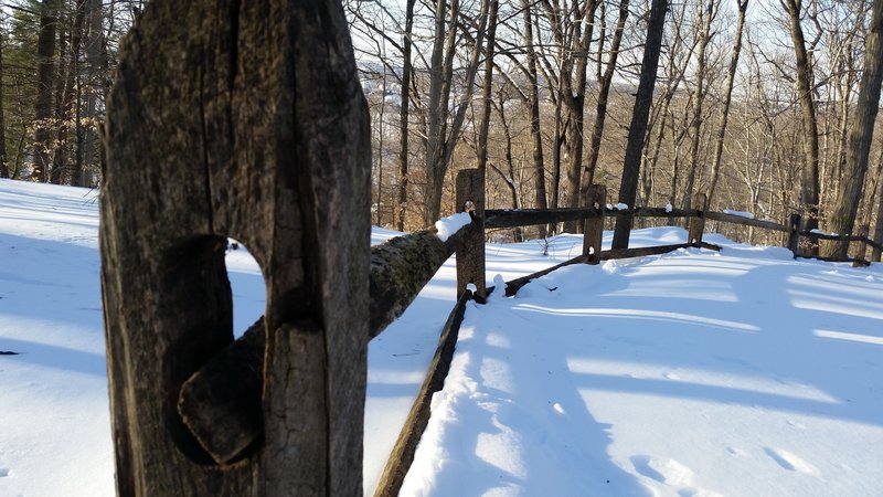 Snowshoeing the Audubon Loop Trail