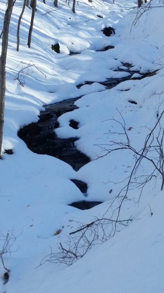 Small stream along the Neal Thorpe Trail, January 2016