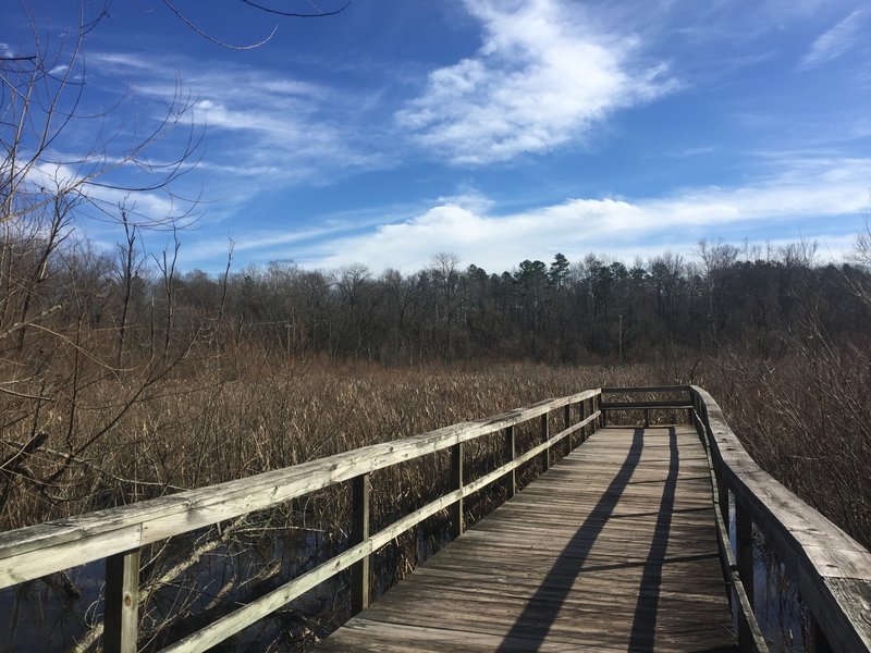 Wildlife observation boardwalk at Gibson Park