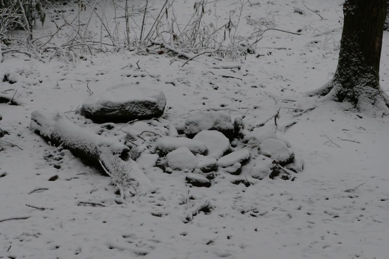 Campsite #31, near the Porters Creek Trail, covered in the snow.