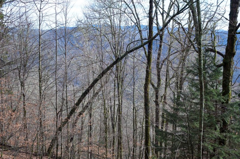 Views off to the left side of the Dry Sluice Gap Trail as you descend along the ridge.