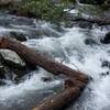 One of the creek crossings that has to be navigated on the Anthony Creek Trail.