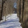 Trail to Chellberg Farm with the sugar shack in the background.