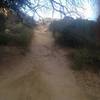 Singletrack on Cheeseboro Canyon Trail.