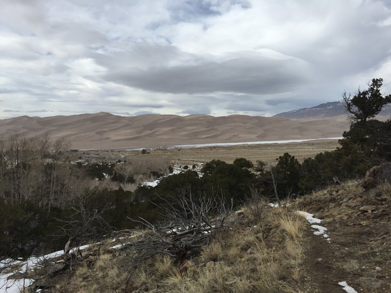 The view out toward the dunes from Wellington Ditch Trail.