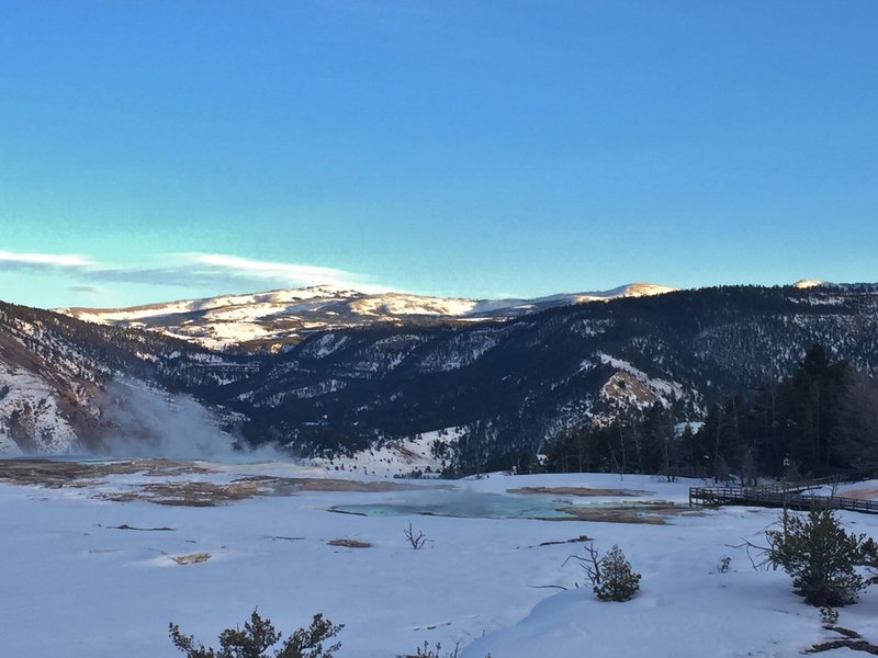 Looking East across the top of the main Mammoth Terrace.