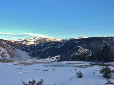 Looking East across the top of the main Mammoth Terrace.