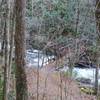 Bridge crossing the Bradley Fork.