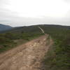 The highest point on the Coyote Ridge Trail looking west.  Follow the trail down to connect with the Coastal Trail, then head south to the Tennessee Valley or north toward Muir Beach.  Travel east to the start of the trail where it intersects with the Miwok Trail.