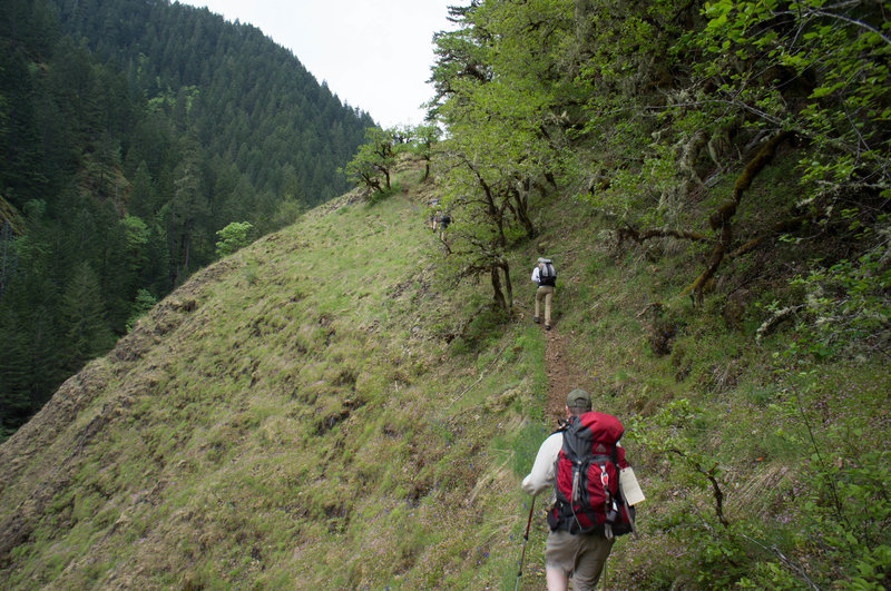 Steep, narrow trail along the hillside.