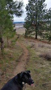 Saltese Flats from Turtle Gulch
