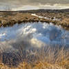 Circular pond.