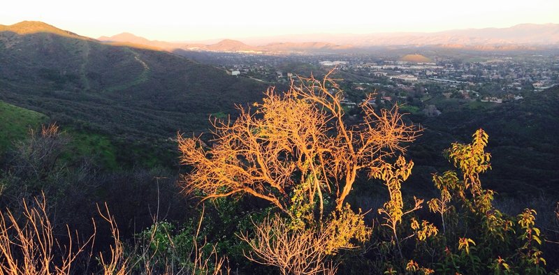 On Los Robles Trail East looking down into Thousand Oaks.