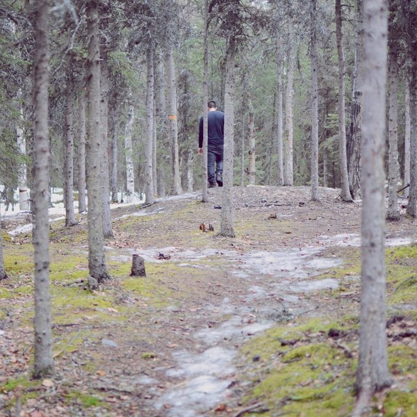 Collecting bark for kindling on Crow Pass Trail.