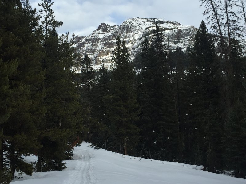 Looking back on the trail to the Northeast affords nice views of Abiathar Peak on the opposite side of the highway.