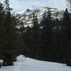 Looking back on the trail to the Northeast affords nice views of Abiathar Peak on the opposite side of the highway.