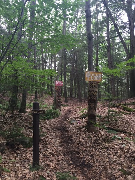 Red Loop Trailhead.