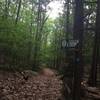 Green Loop Trailhead