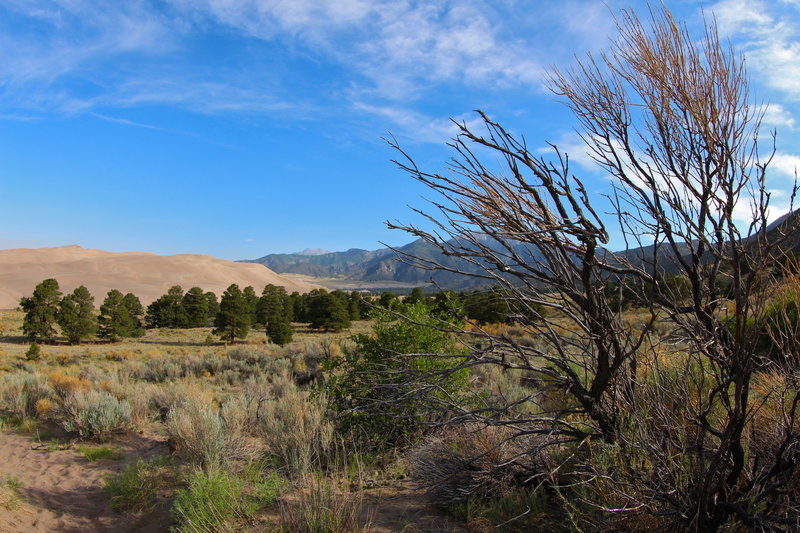 On the trail to Medano Creek.