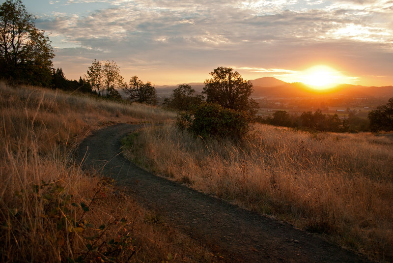 Rick Hammond's photo of the Springbox Savanna at sunset.