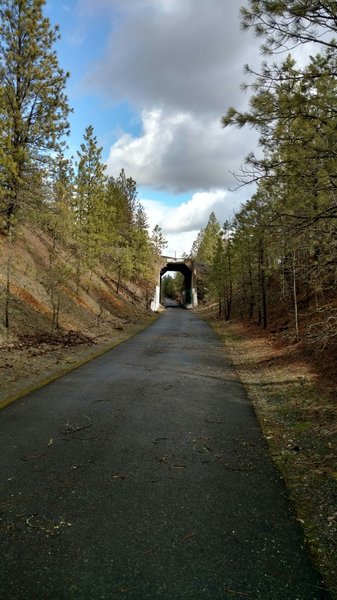 A short tunnel near Scribner Road, at the end of the first section.