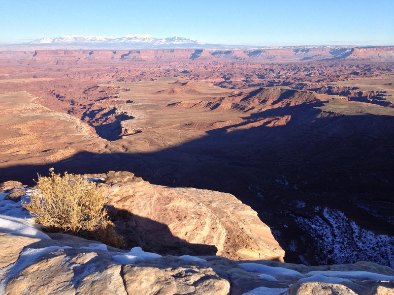 Canyonlands with the La Sal mountains in the background.