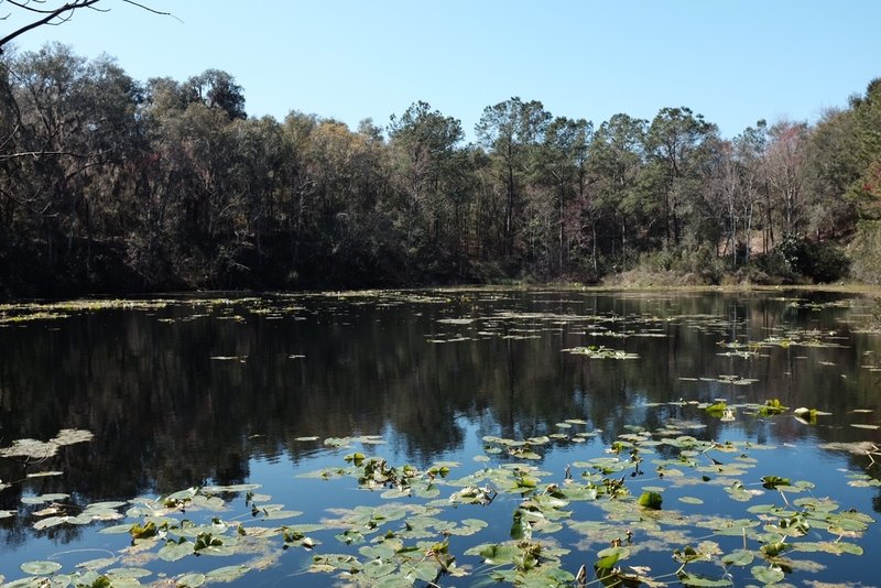 A view of Lake Ray, from the far side of the Lake Loop.