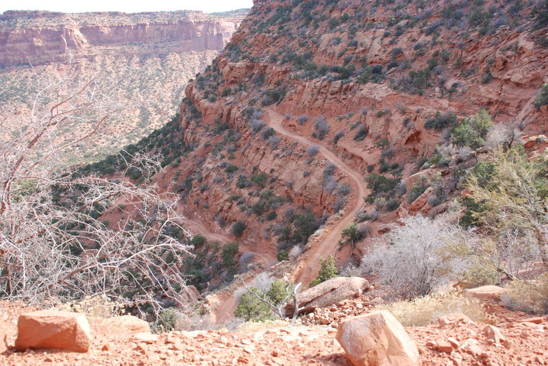 Maze switchbacks.