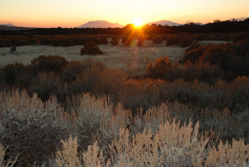 Sunset in the Maze