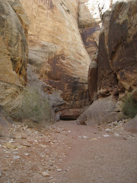 Grand Wash Narrows.