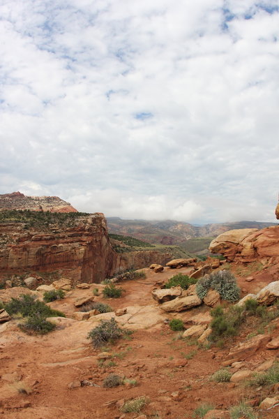 Overlook from Hickman Bridge trail.