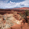 Panorama Point, Capital Reef.