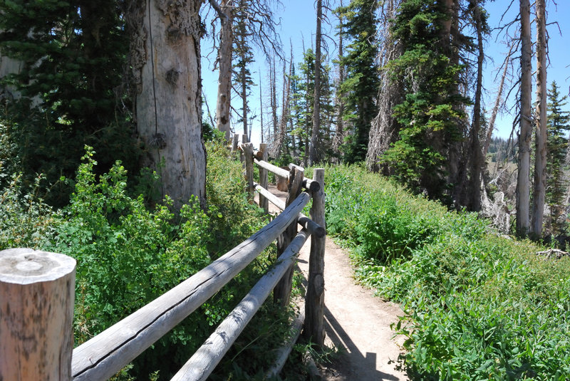 Cedar Breaks.