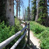 Cedar Breaks.