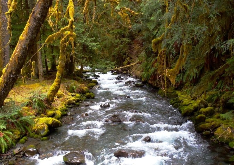 A look at the Lillian River.