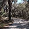 At the start of the Live Oak Trail. Behind me and to the left are some picnic tables, located under shade.