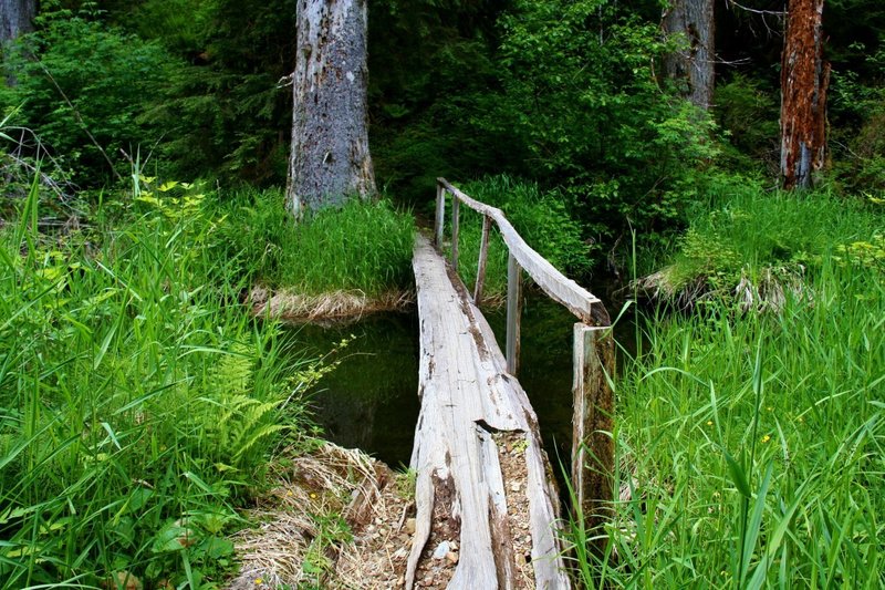 A small bridge near Irely Lake.