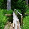 A small bridge near Irely Lake.