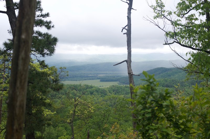 Obstructed views of Cades Cove and the Smokies from the trail.