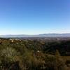 Looking eastward from the Coyote Ridge Trail.