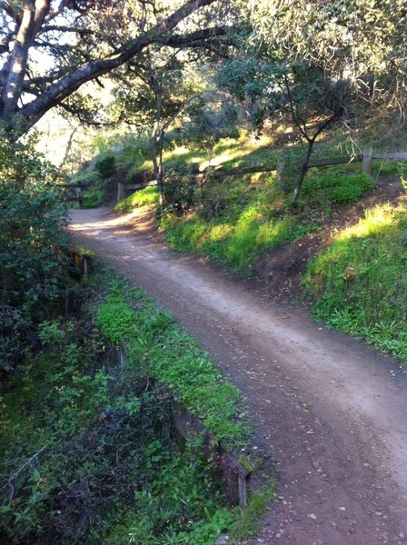 On the Cora Older Trail.