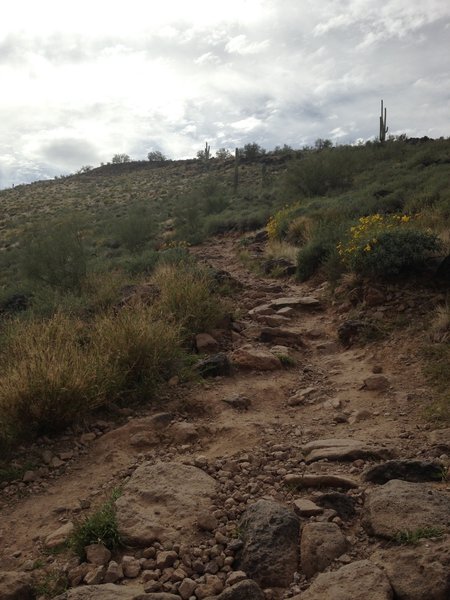 Heading up the Ridgeline Trail.