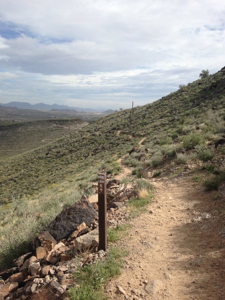 Ridgeline Trail heading down.