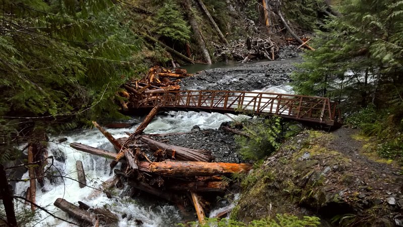 Bridge on the Big Creek Trail in Olympic National Park in Feb 2016 taken on a day with 2 inches of rain. The bridge was off its footings, but still passable for those willing to traverse the log jam on the far side.