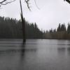 Irely Lake on the Big Creek Trail in Olympic National Park in Feb 2016. Looked like a surreal ghost lake during a winter rainstorm.