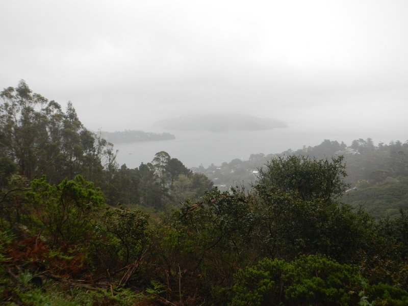 Angel Island and Tiburon in the rain.