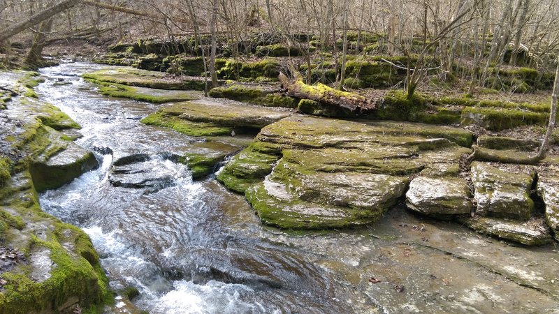 View of the creek through Raven Run, between Mill Dam and Evan's Mill.