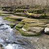 View of the creek through Raven Run, between Mill Dam and Evan's Mill.