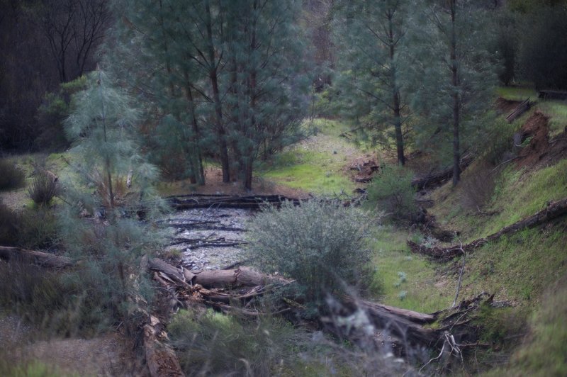 The washed out creek bed below the trail.