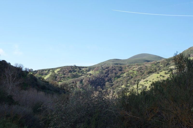 View from the trail of the surrounding hillside.